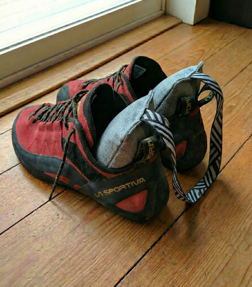 Charcoal Climbing Shoe Deodorizer